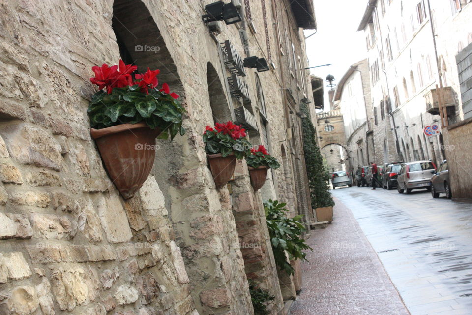 Assisi street. Flowers in Assisi 