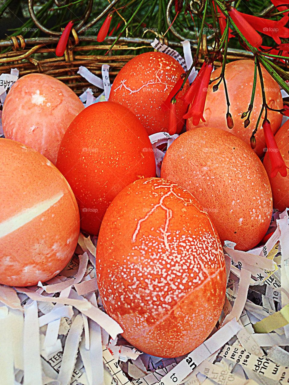 Seven eggs uniquely dyed in festive orange designs.