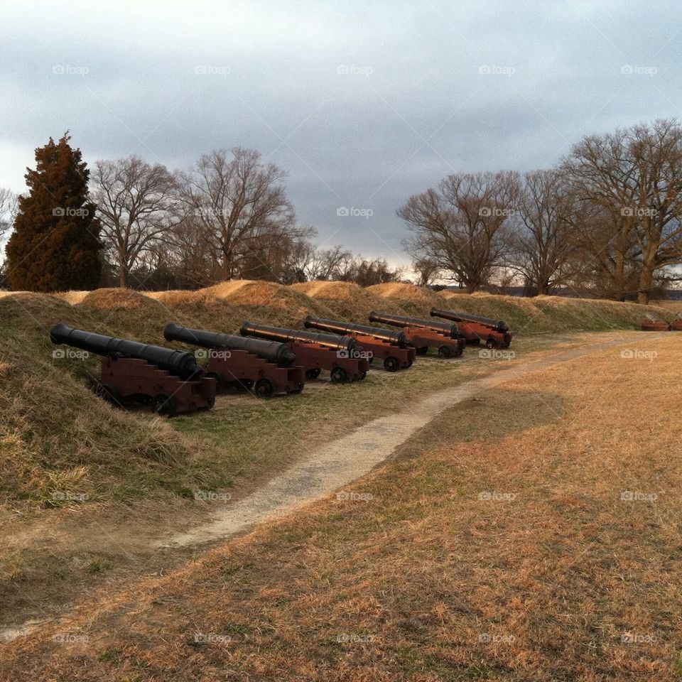 Line of cannons