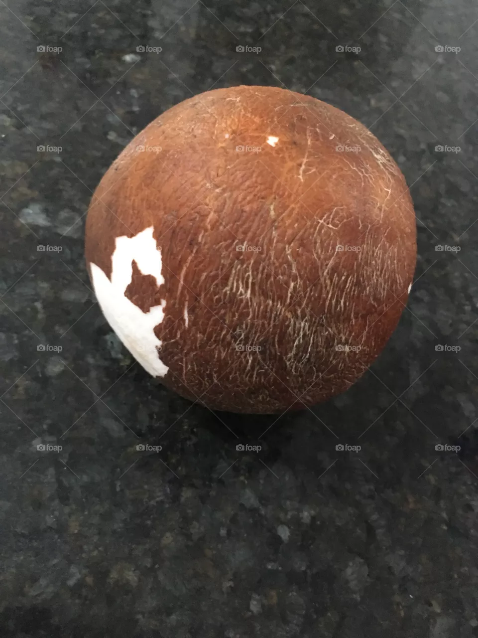 Coco