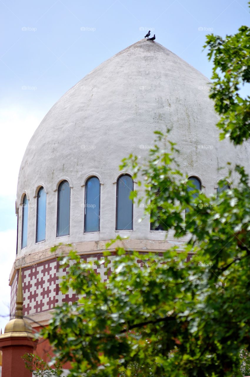 Dome building behind trees at Cincinnati zoo in Cincinnati, Ohio United States