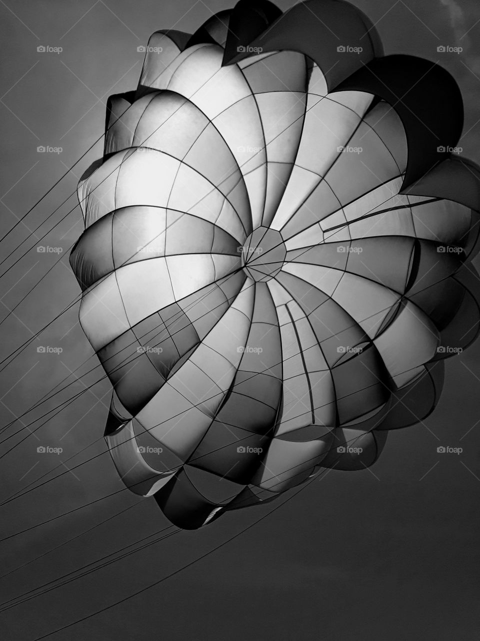 Parasailing adventures!