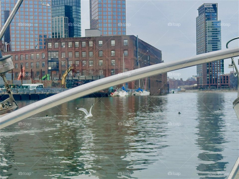 One morning on our boat at „Newtown Creek“ by the „Pulaski Bridge“ I saw birds, a large white seagull and some smaller black ones that were probably young geese. I immediately grabbed the phone camera and took a picture. 2024. Hypnotic Productions