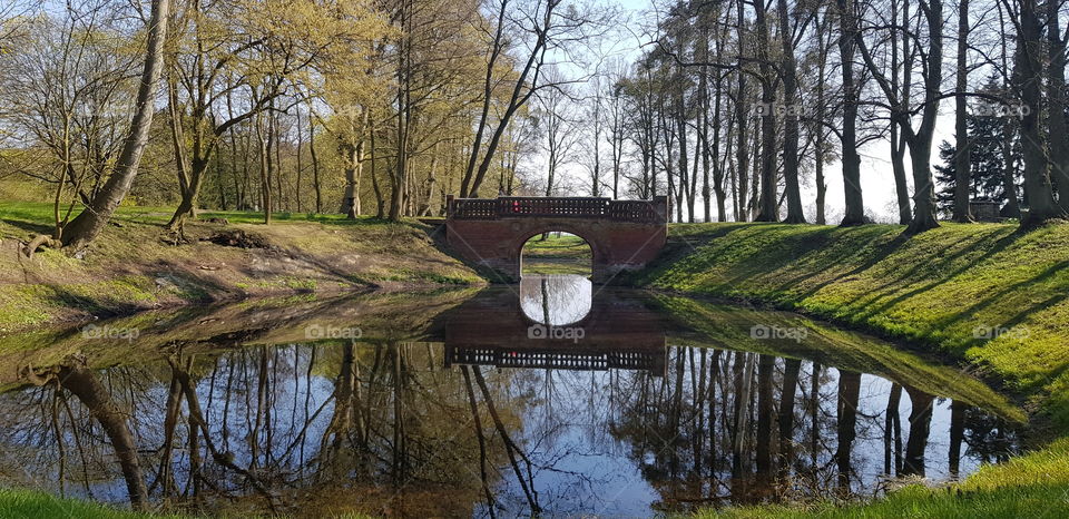 Brücke mit Teich