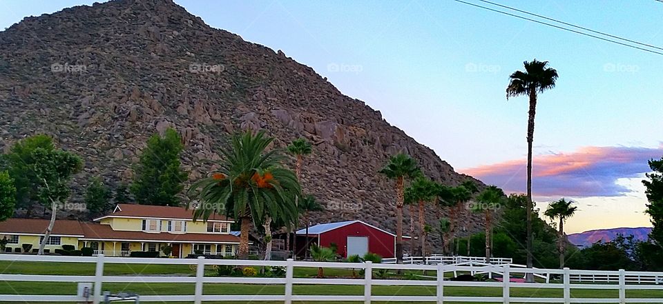 Rough life, eh. discovered an area near me with sprawling properties