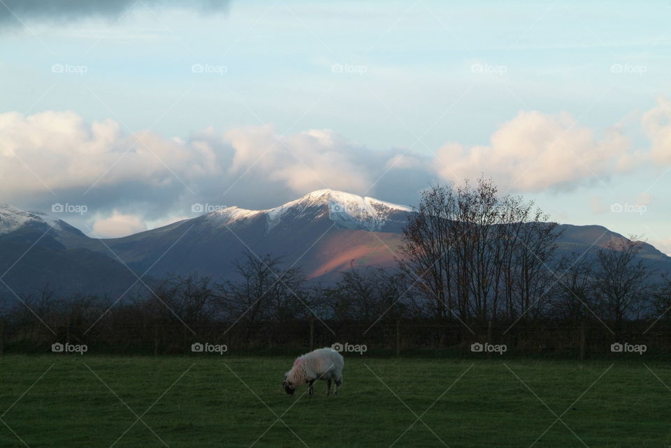 Lake District 