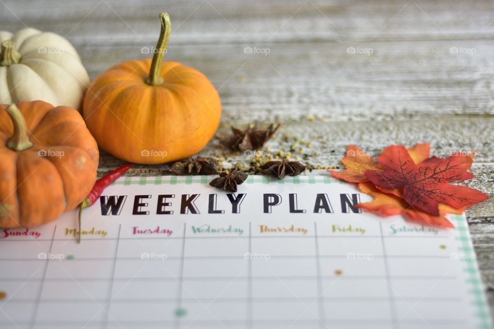 Weekly planner 