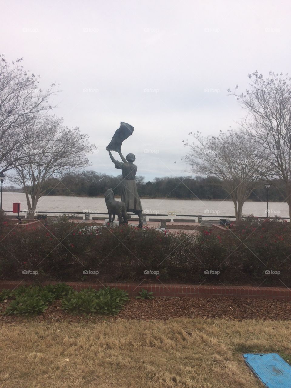 Statue, Savannah