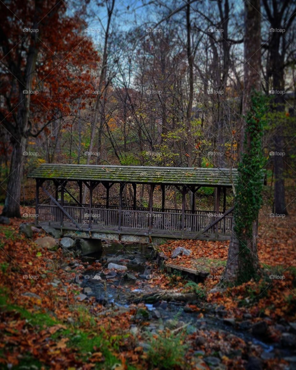 fall hike