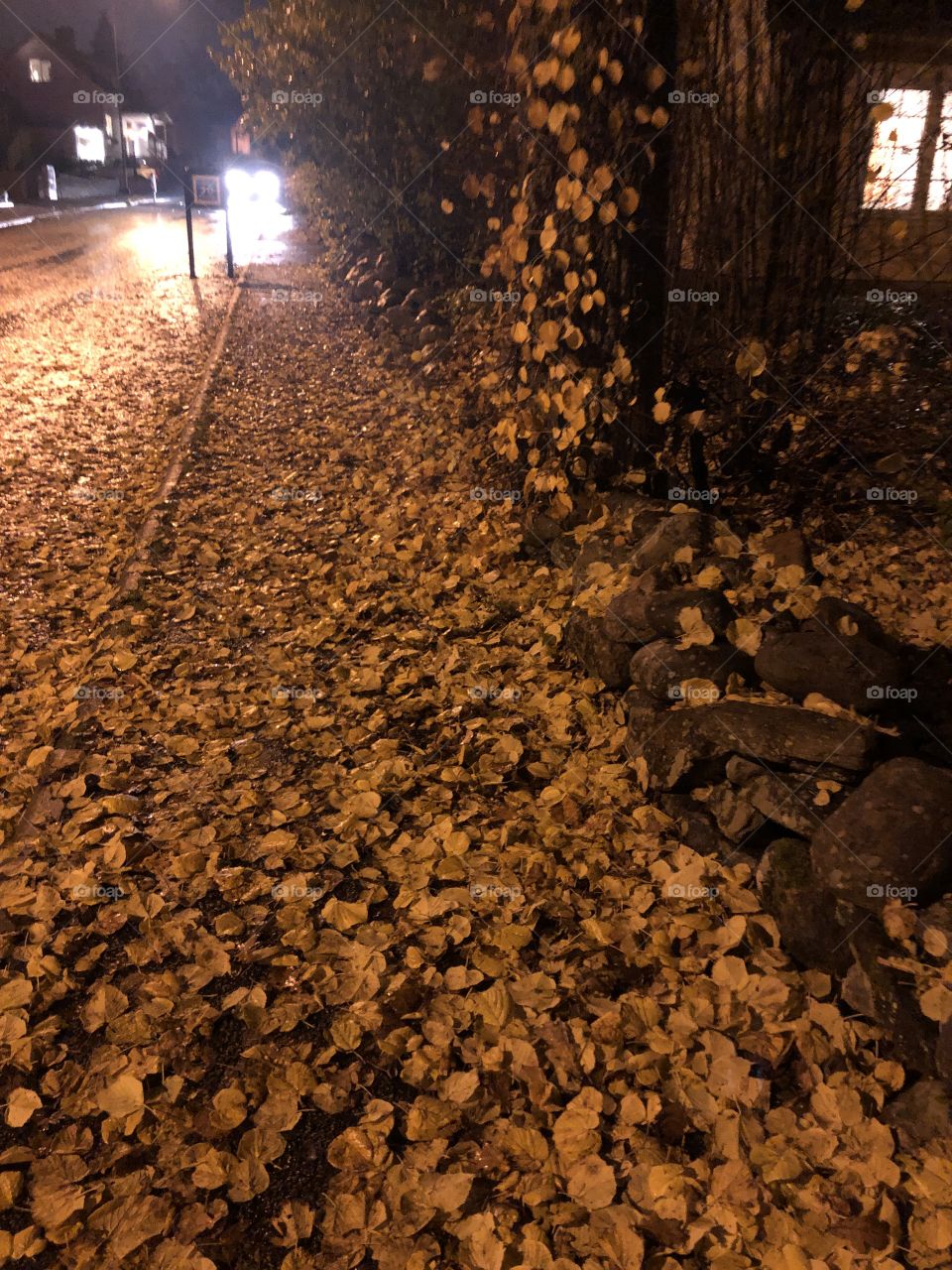 Street of autumn