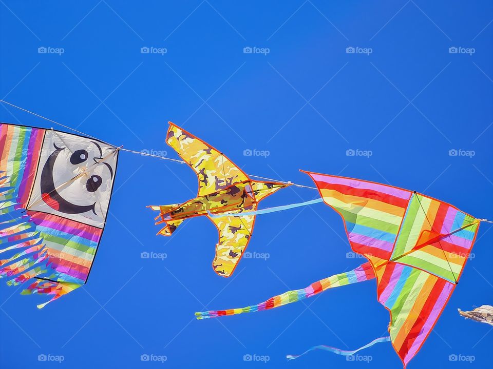 colorful kites soar in the blue sky