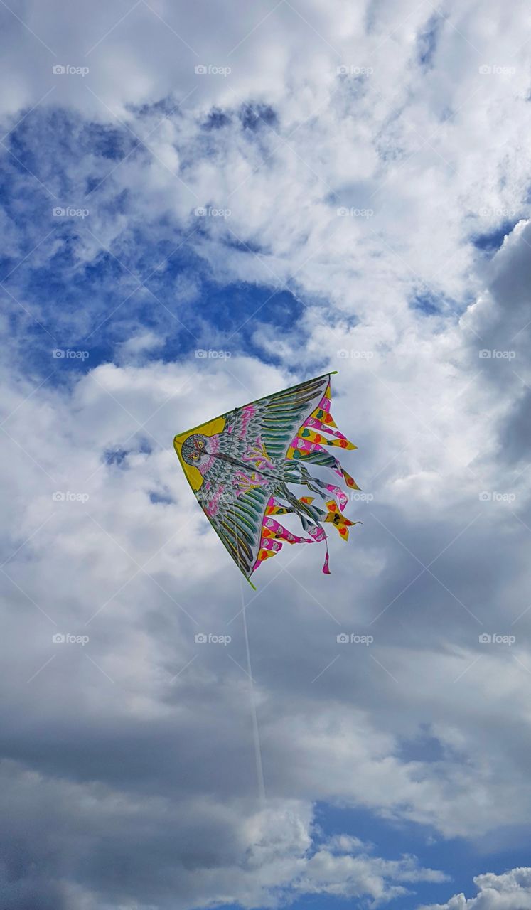 kite