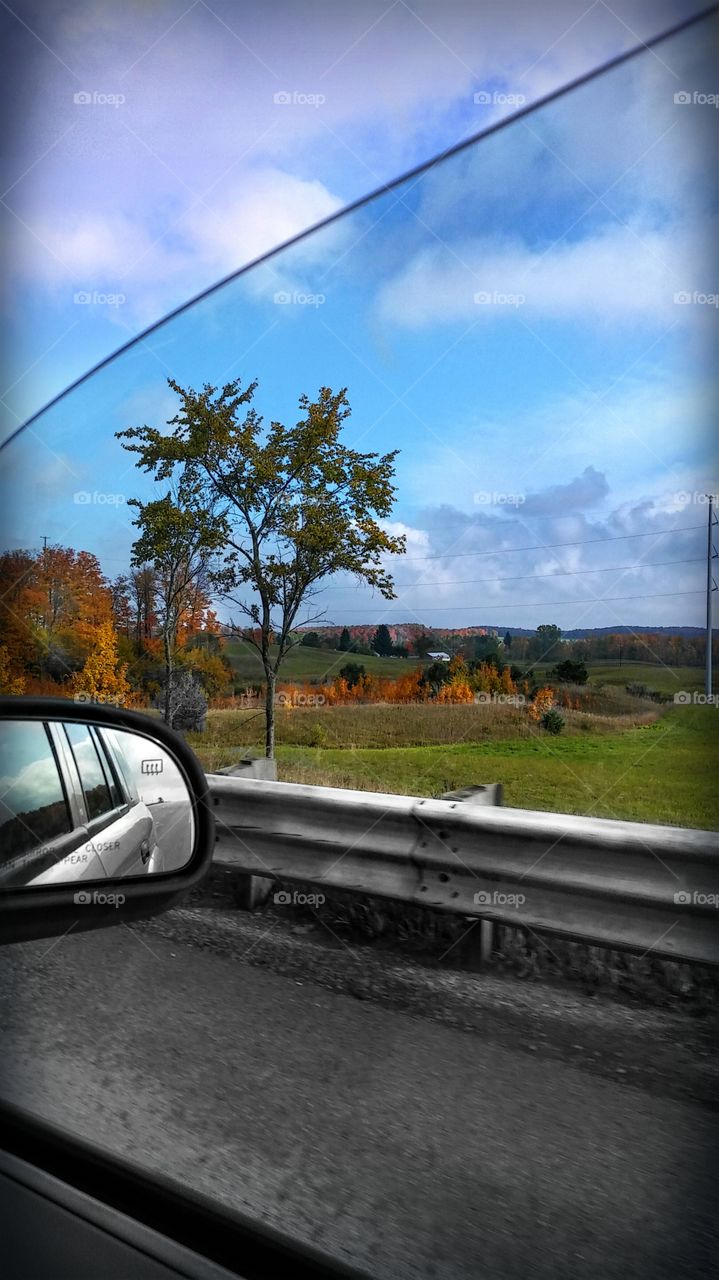 beautiful example of  northern Michigans' fall colors