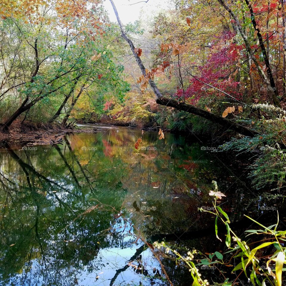 Little Cahaba Changes Colors for Fall
