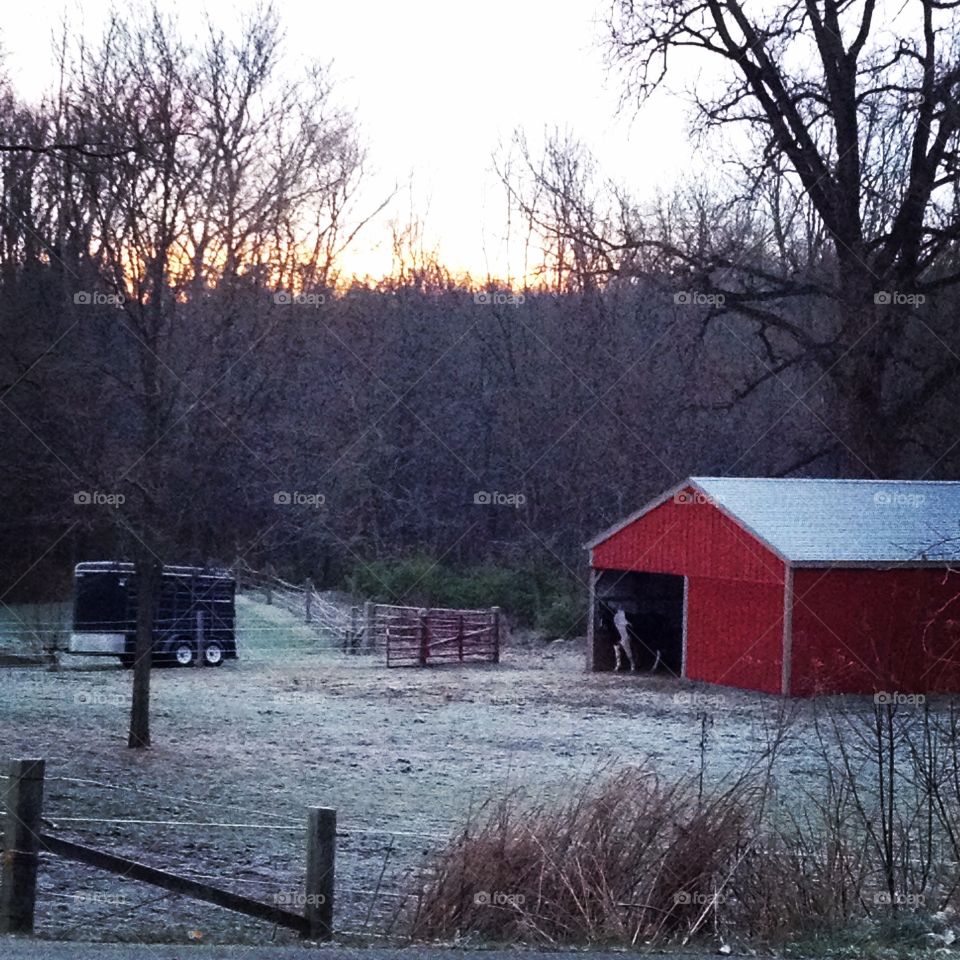 Horse barn in Winter