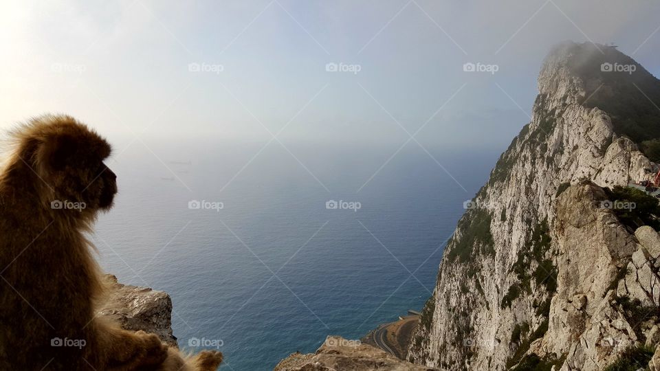 Enjoying the Cool of the Early Morning