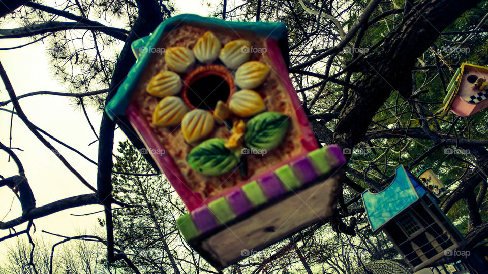 birdhouse
