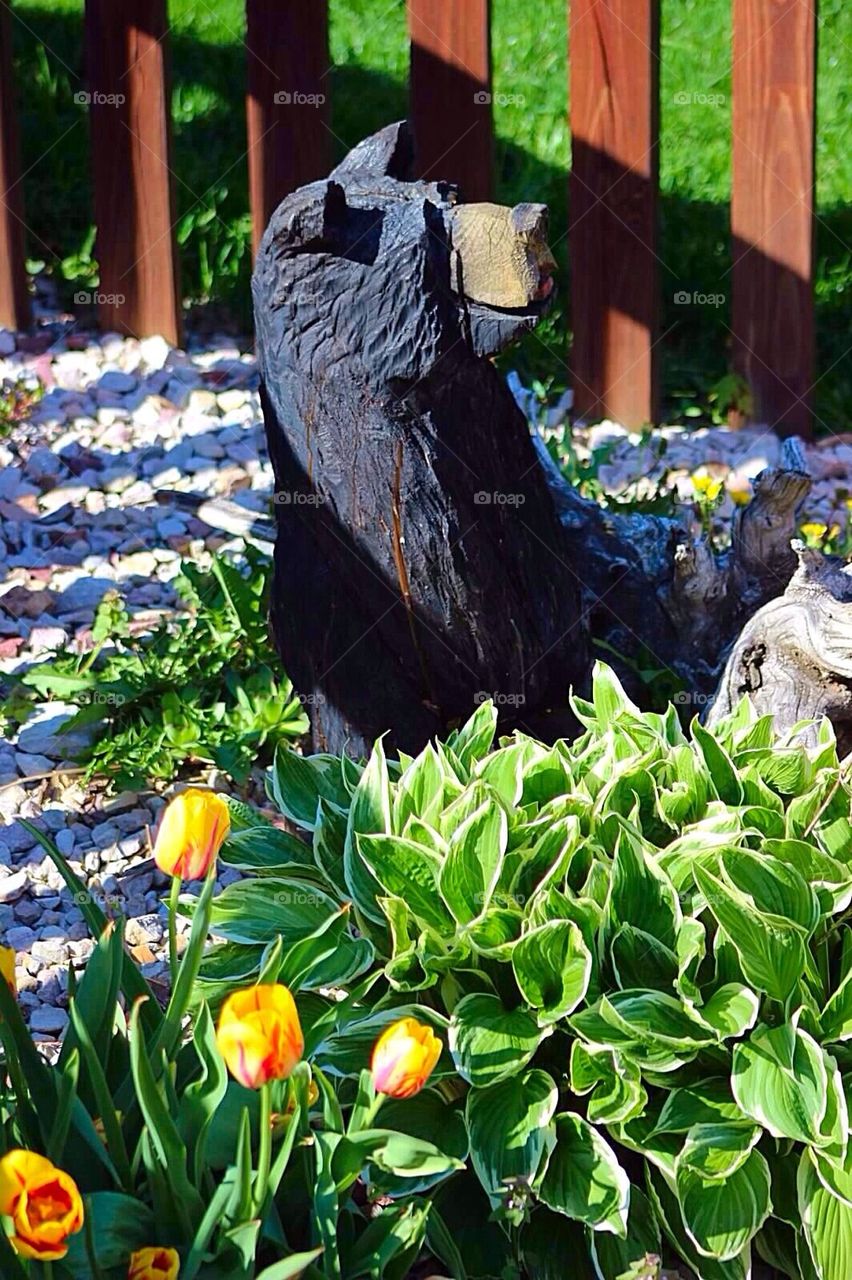 Bear in the Garden