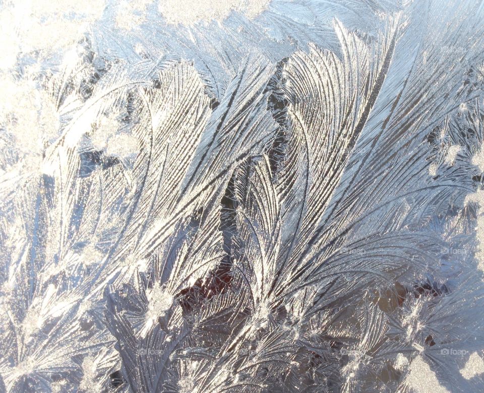 Frost on the Windows