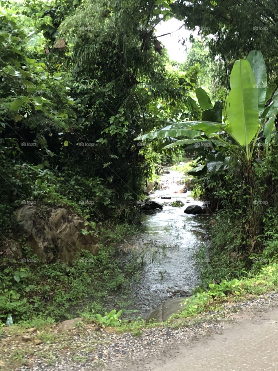 The stories of nature, Countryside (Thailand)