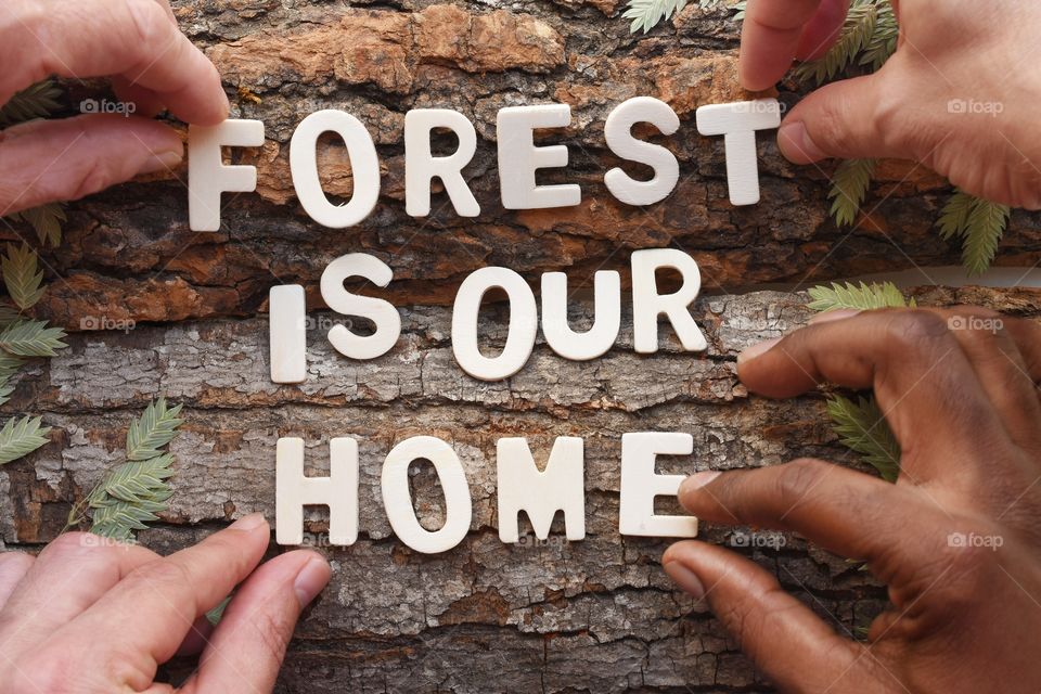 Forest is our home 