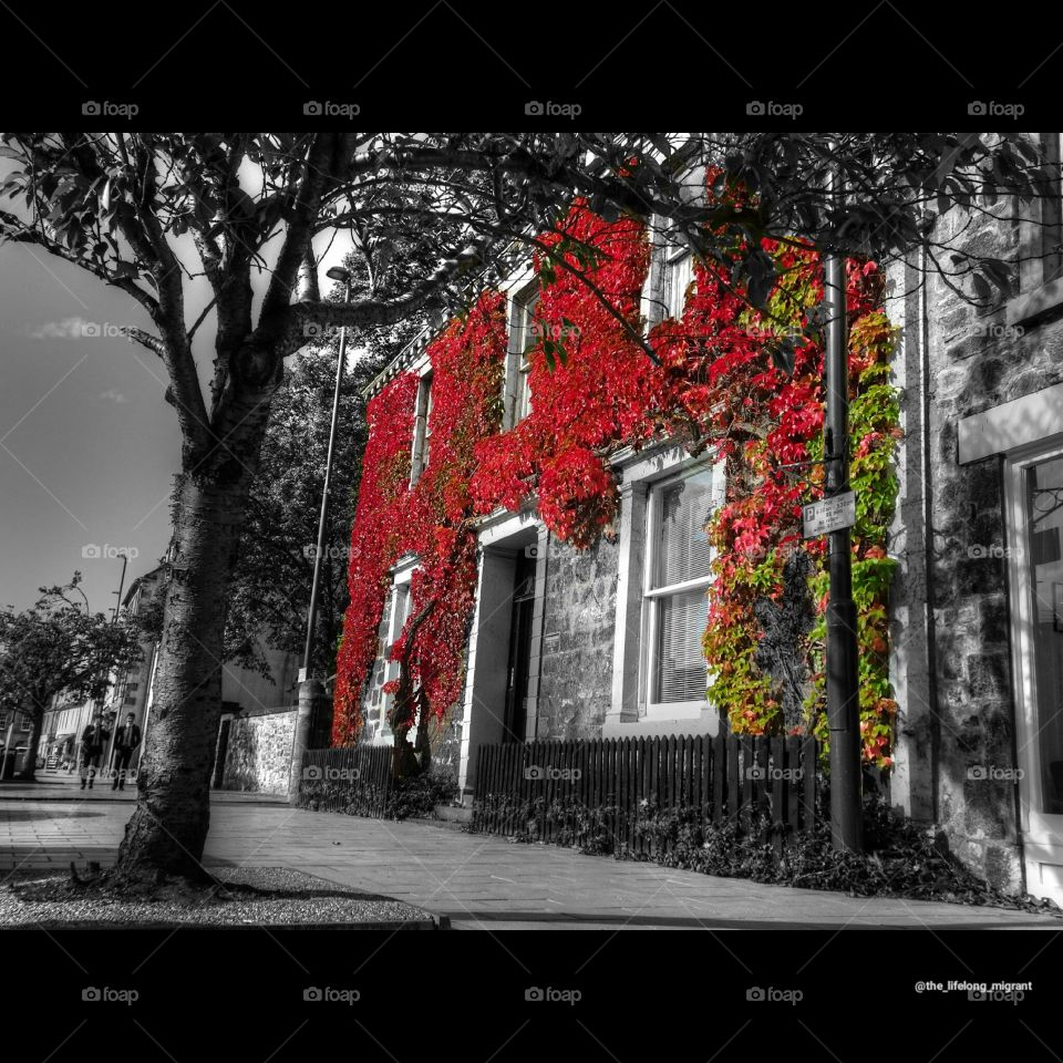 A House across the road- monochrome + red