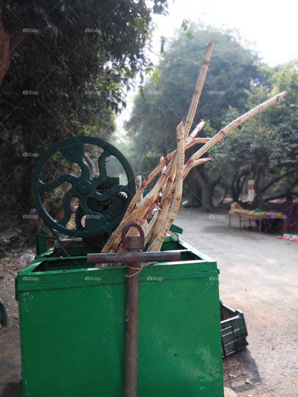 sugar cane juice