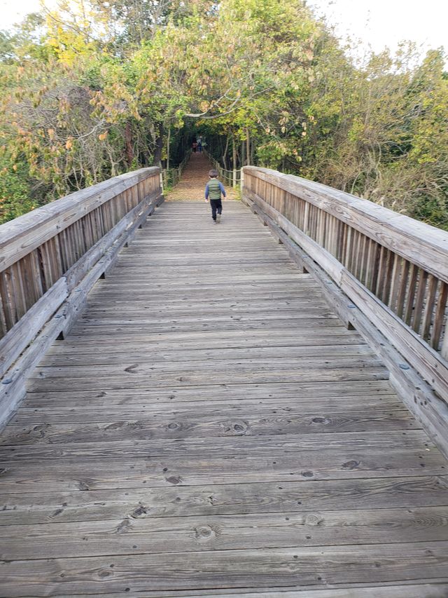nature walks