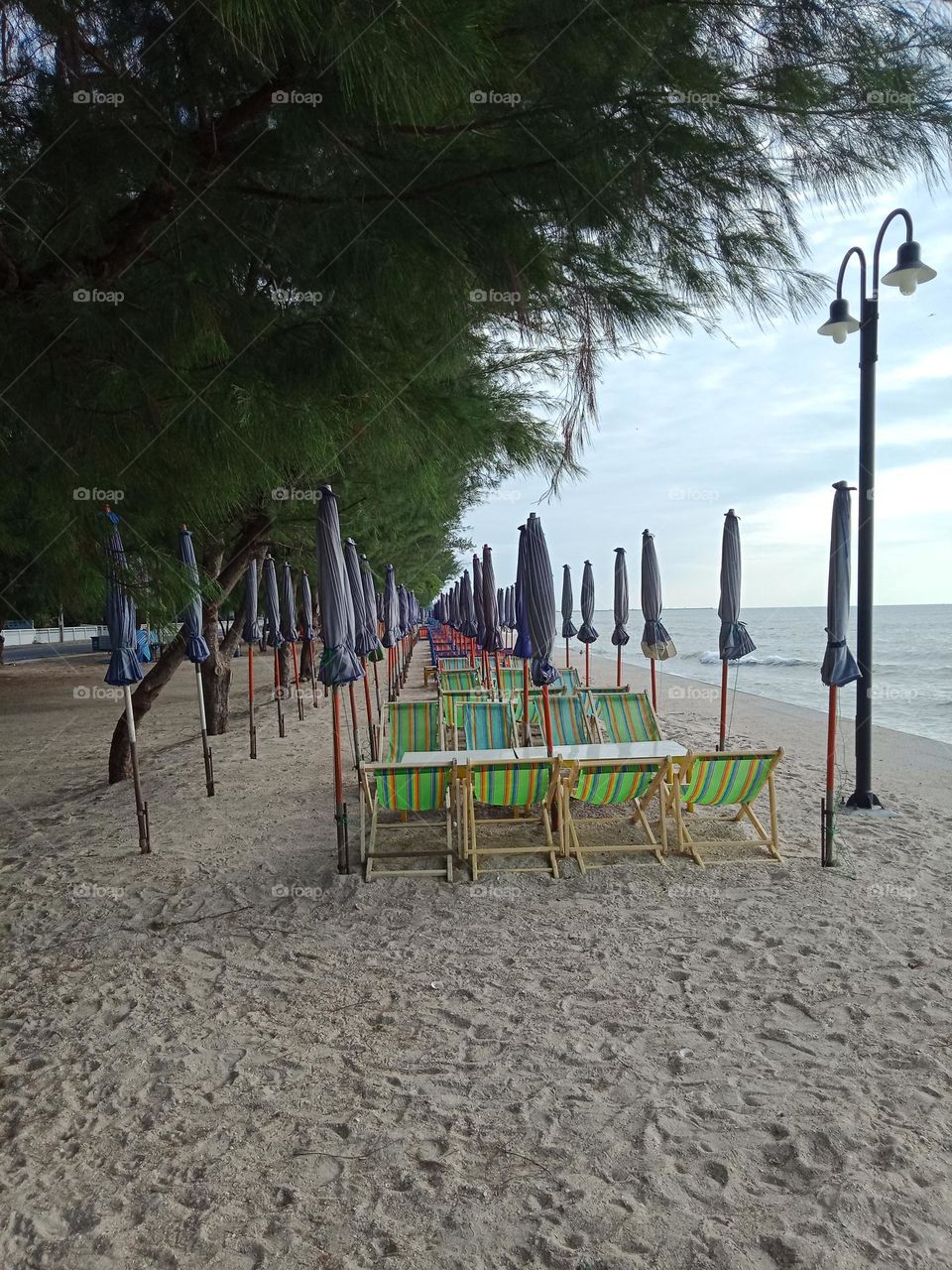 Beach chairs