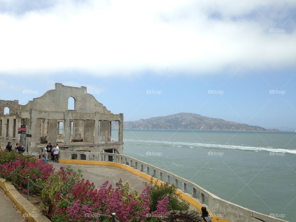 Alcatraz in June