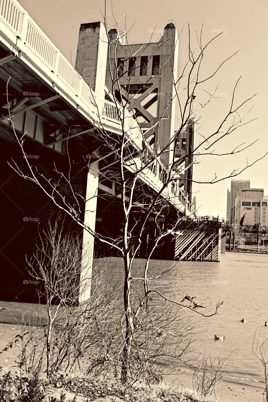 a monochrome river front view of a bridge with the city in the background