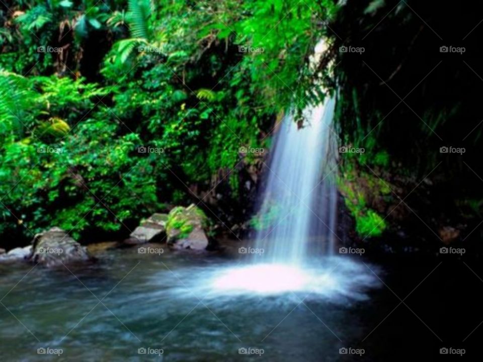 Beautiful  waterfall  in Puerto Rico.