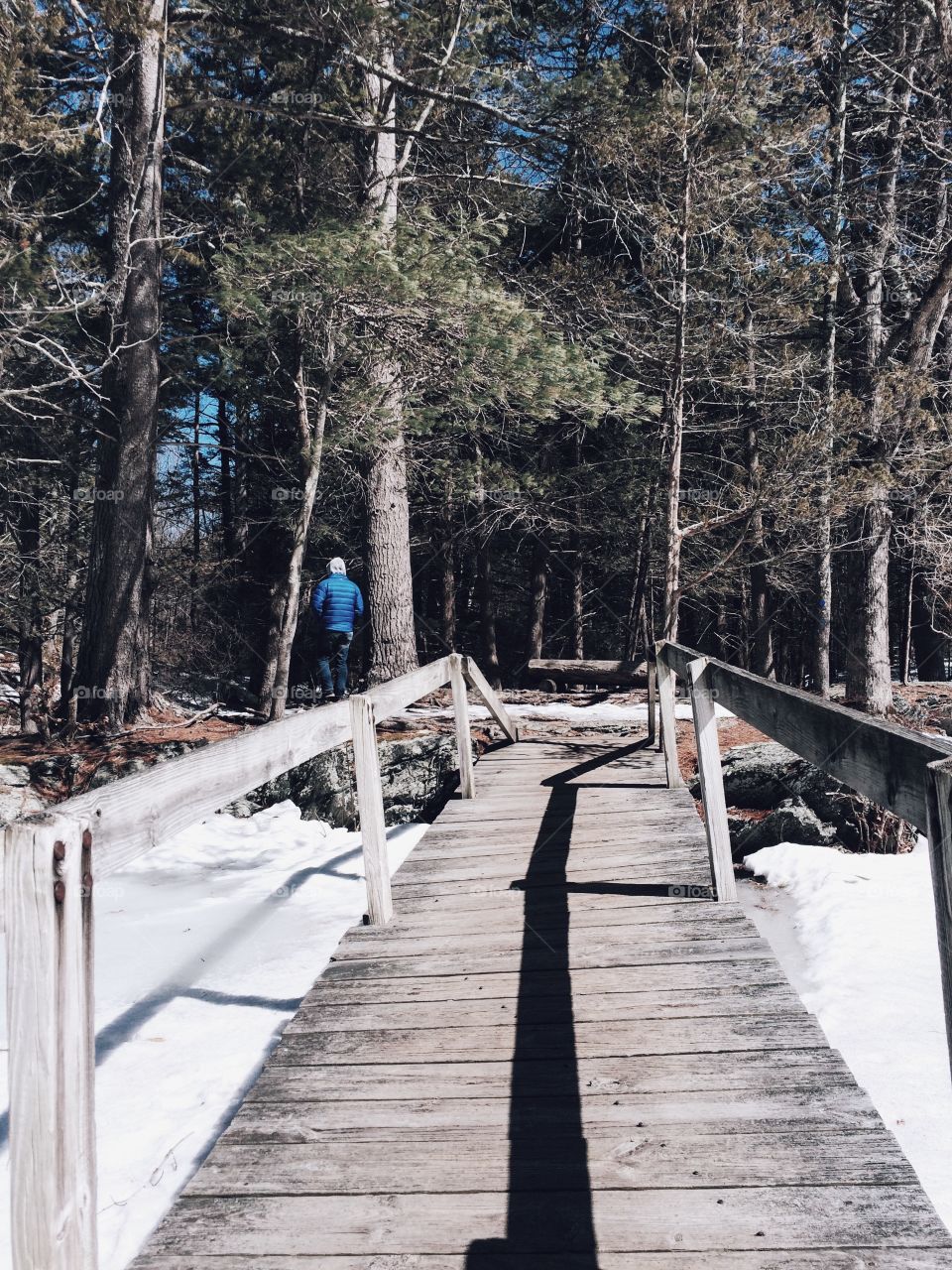 Wood, Winter, Tree, Snow, Nature