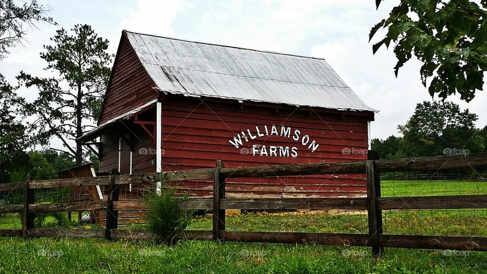 Williamson Farms 