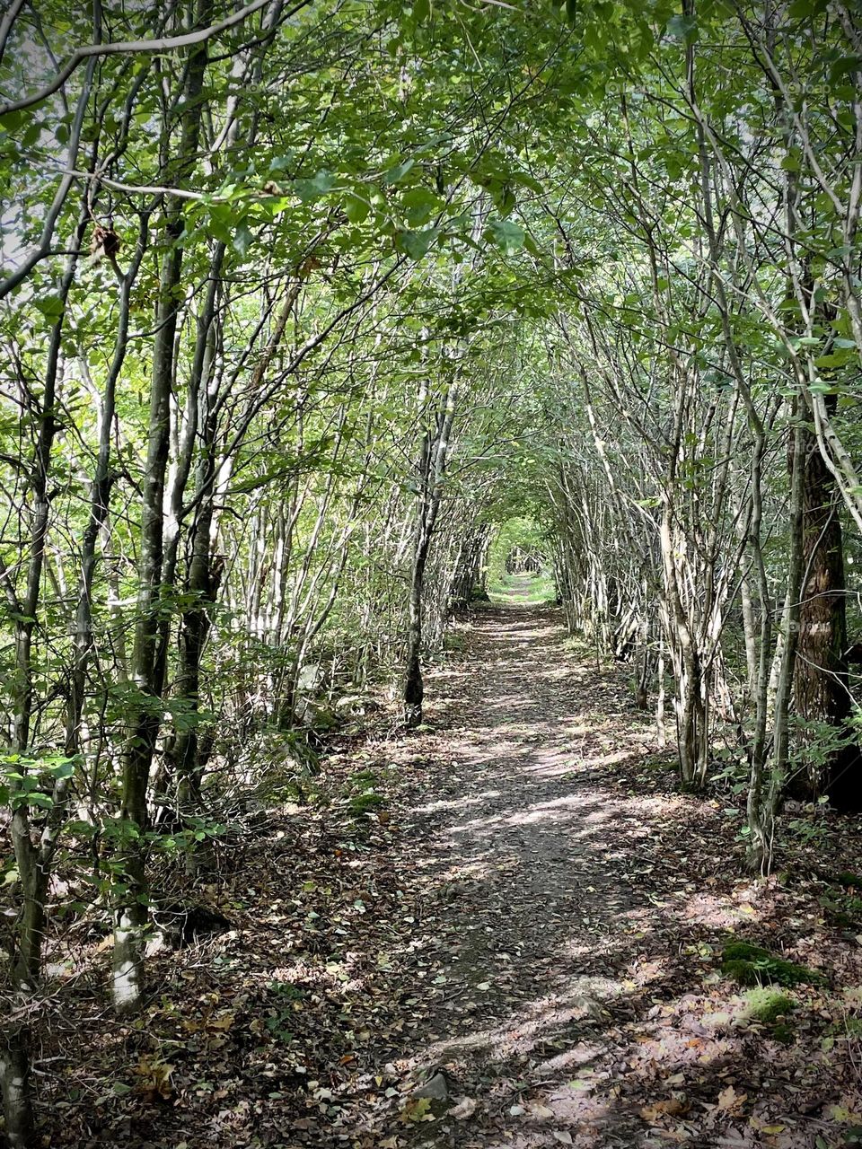 Tunnel in nature’s own creation