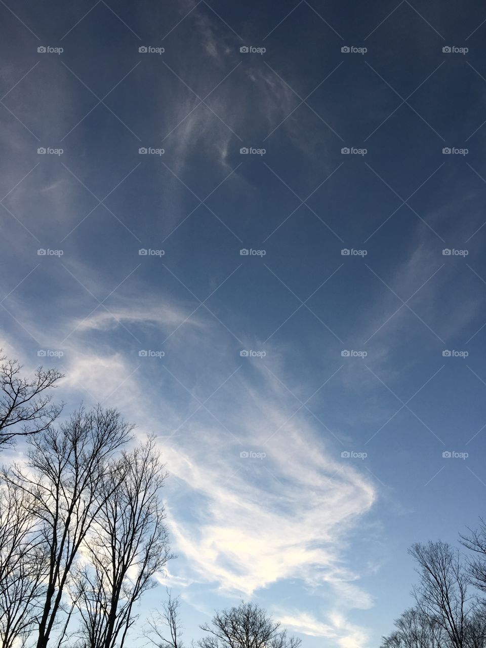  clouds clear sky in algonquin park