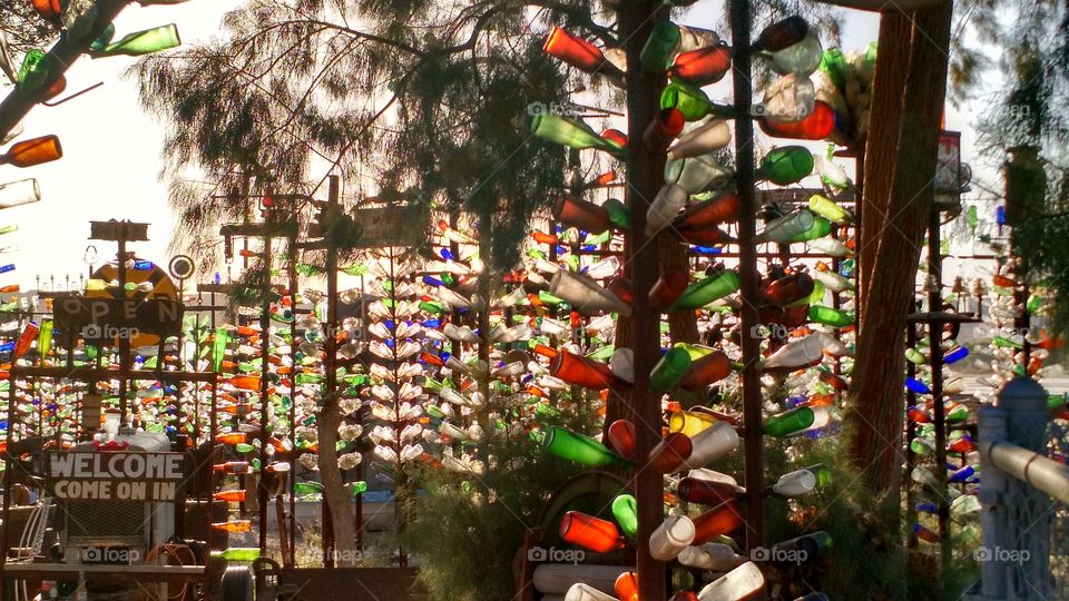 Bottle Trees at dusk. Photo taken at Bottle Tree Ranch on Route 66
