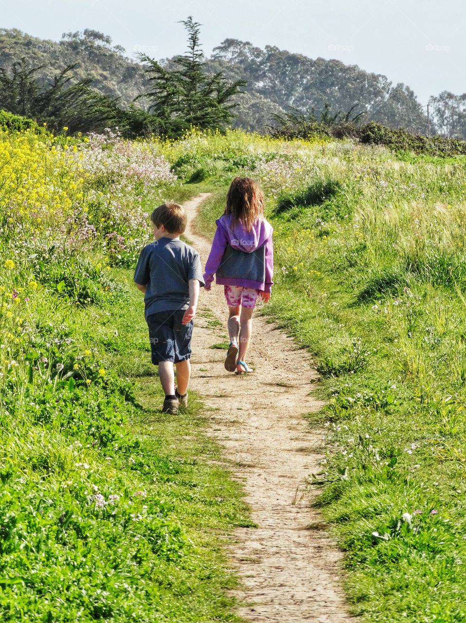 Boy And Girl Walking On A Path Of Flowers