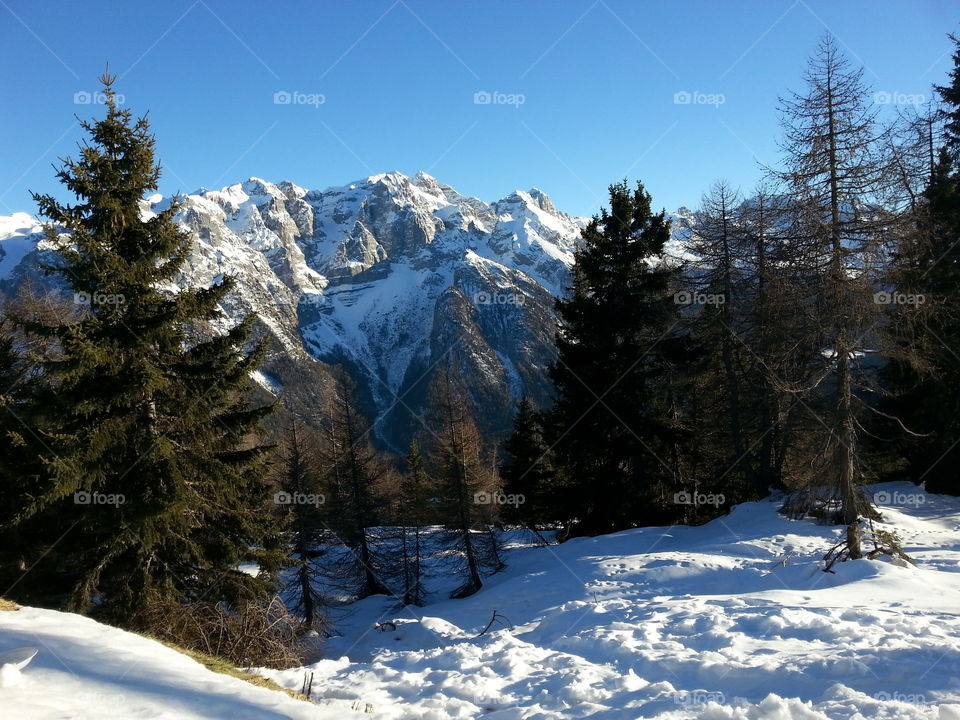 Snowy Alps