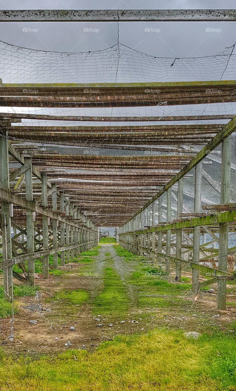 From Tromsø, Norway