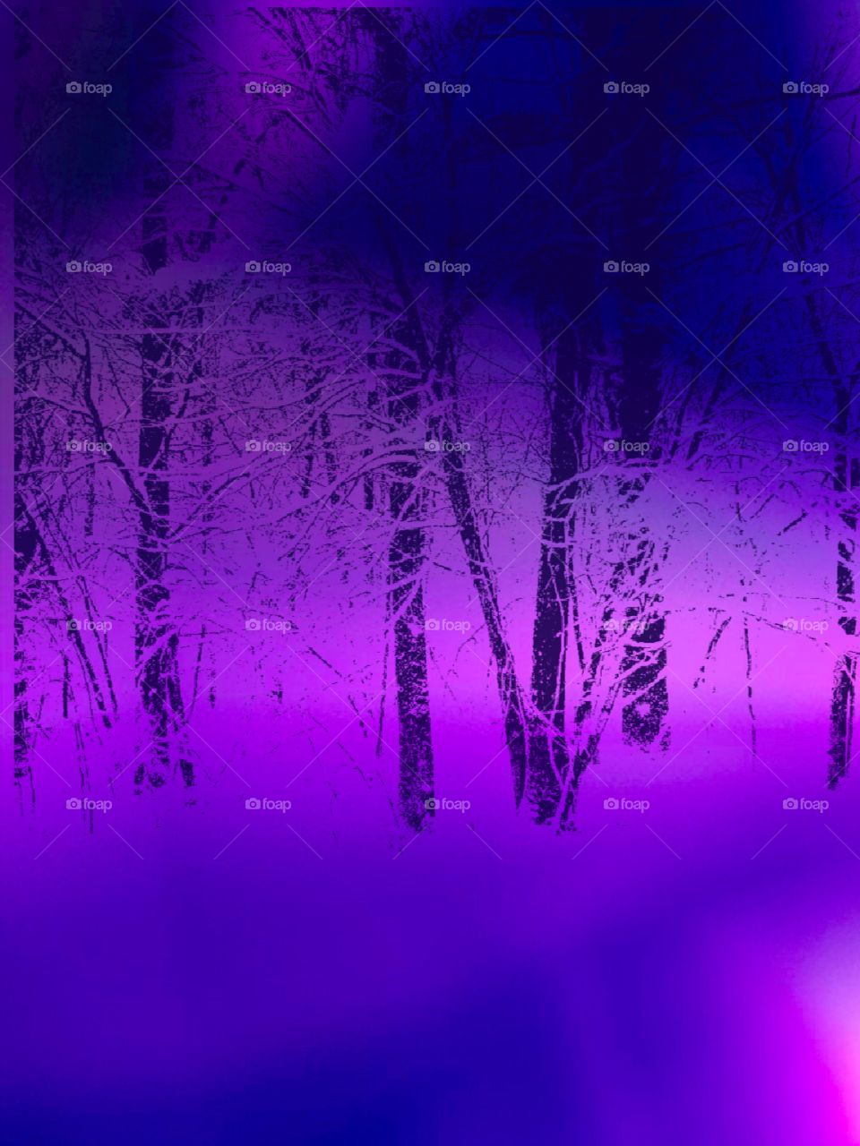 Abstract Snow Forest