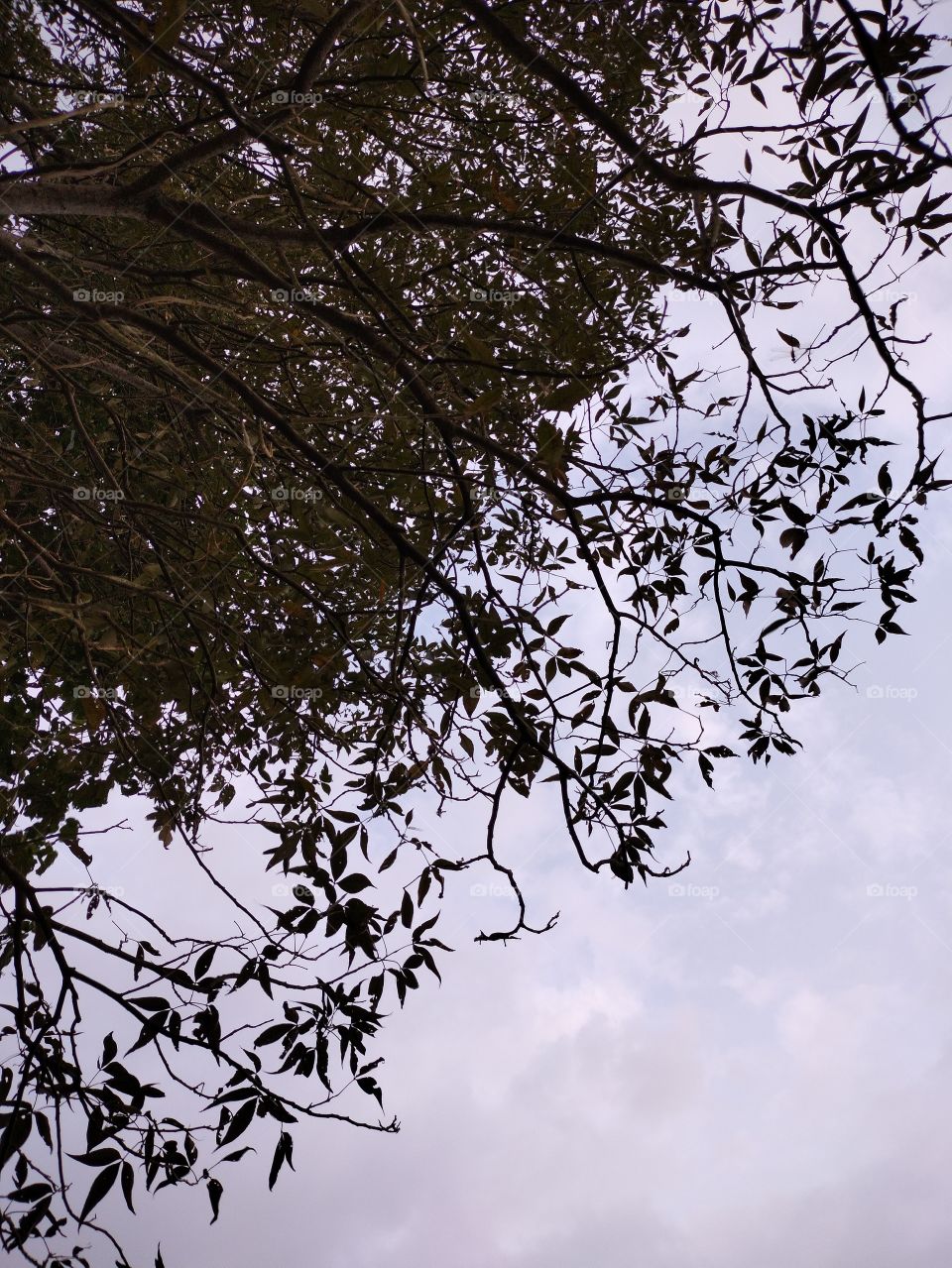 I am about to touch you