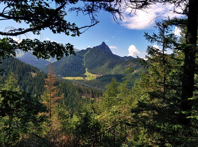 Hiking 