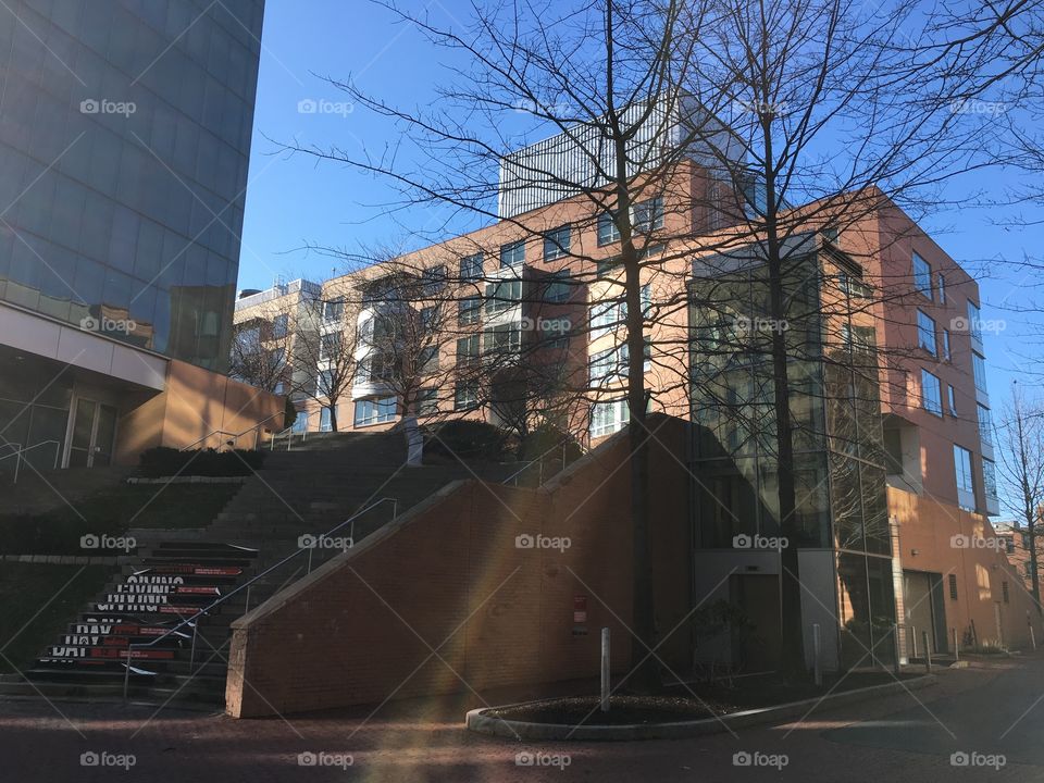 Northeastern University in Boston