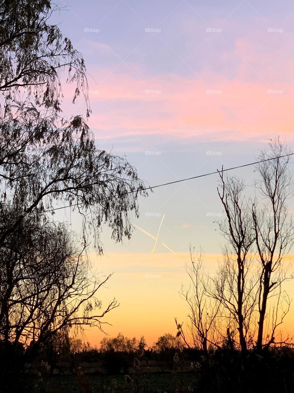 Landscape of trees silhouettes during sunset 
