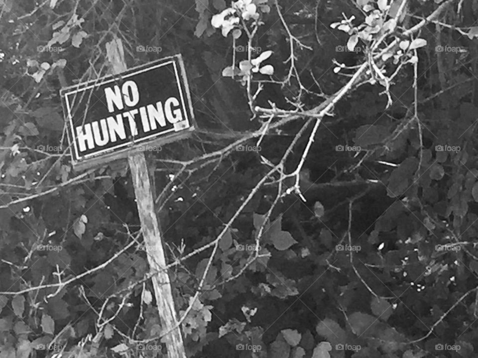 No hunting