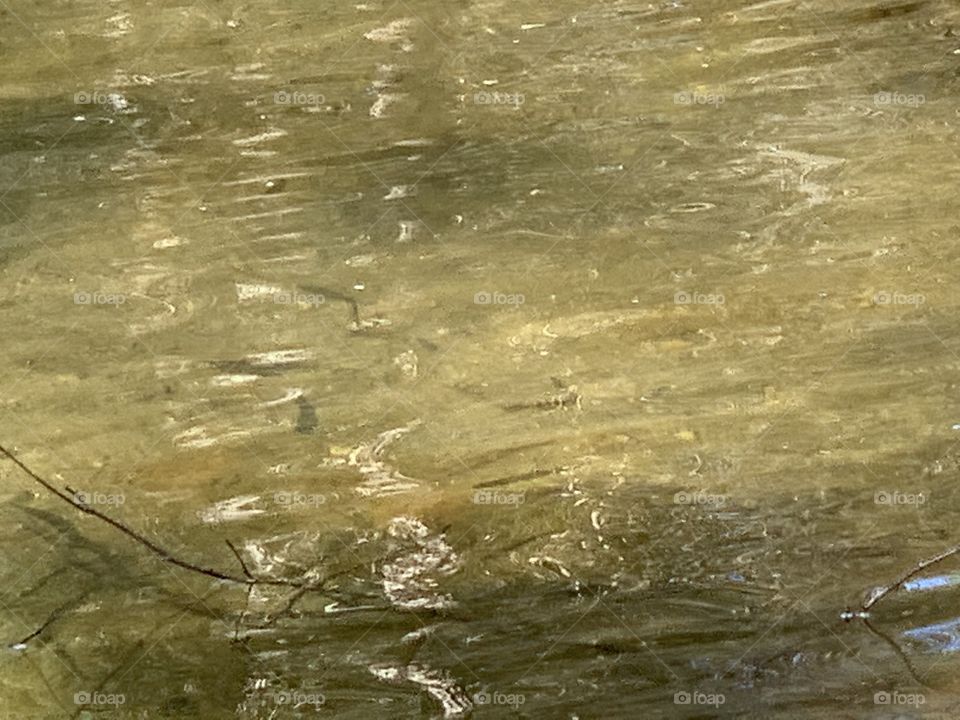 It’s time for school my little minnows!