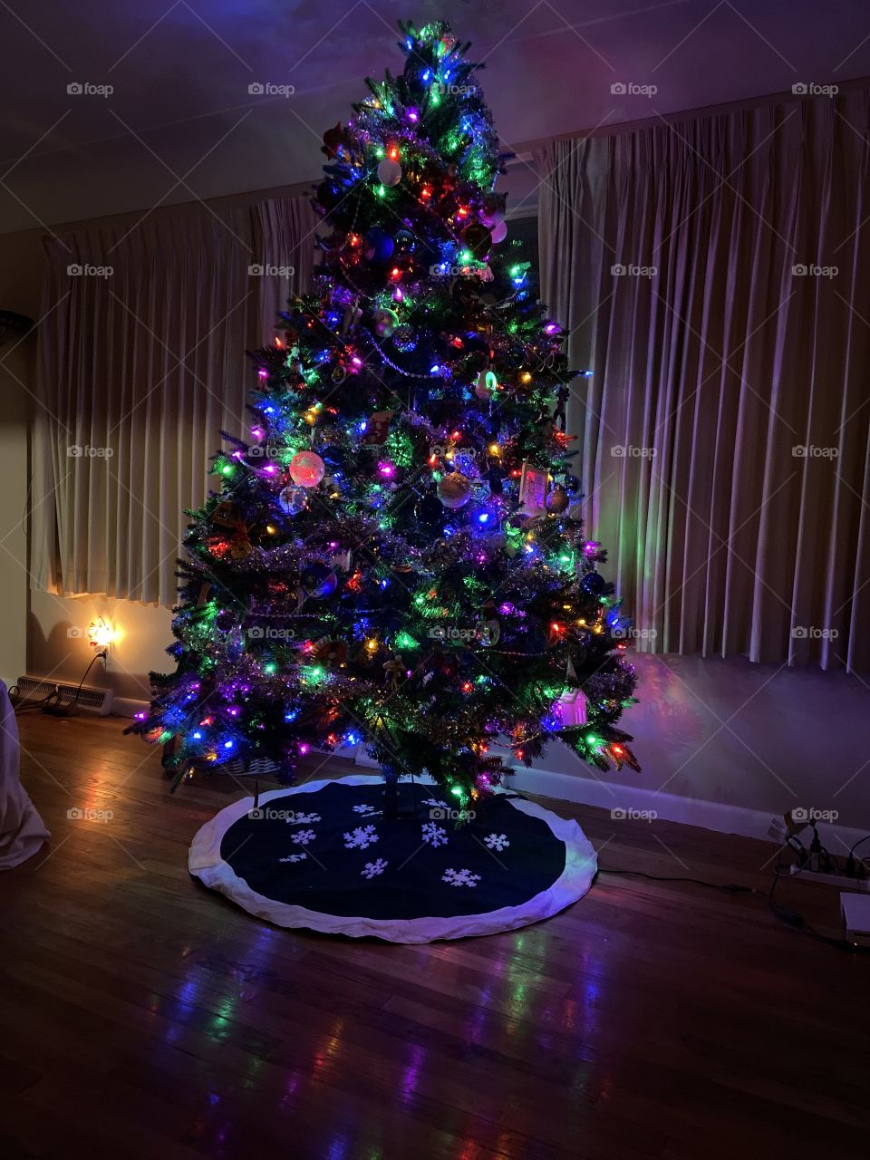 Oh Christmas tree , oh Christmas tree