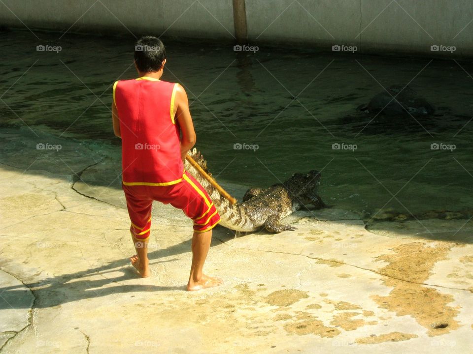 The man show ...How to catch the crocogie