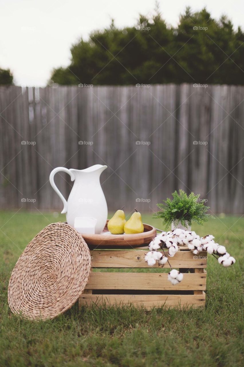 Backyard picnic